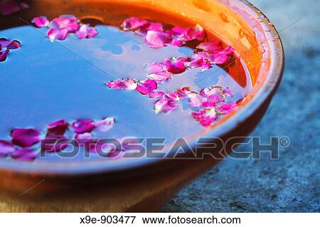 Pink petals in vessel View Large Photo Image Stock Photo - Pink petals in vessel. Fotosearch