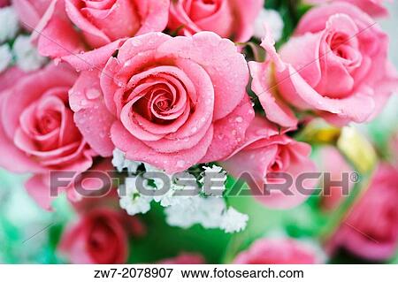 Stock Photo - Pink Roses close up arranged in a antique tea cup.. Fotosearch