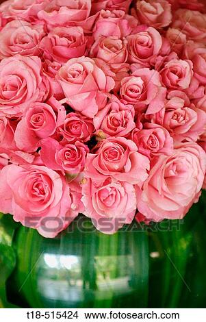 Picture - Pink roses in vase, close-up. Fotosearch