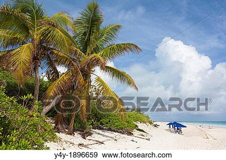 Pink sand beach Harbour Island, Bahamas View Large Photo Image Stock Photo - Pink sand beach Harbour Island, Bahamas. Fotosearch