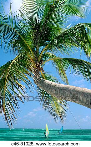 Stock Photo - Pinney's Beach, Nevis. St. Kitts and Nevis. Fotosearch
