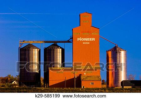 Pioneer Grain elevator. Morse. Saskatchewan View Large Photo Image Stock Photo - Pioneer Grain elevator. Morse. Saskatchewan. Fotosearch