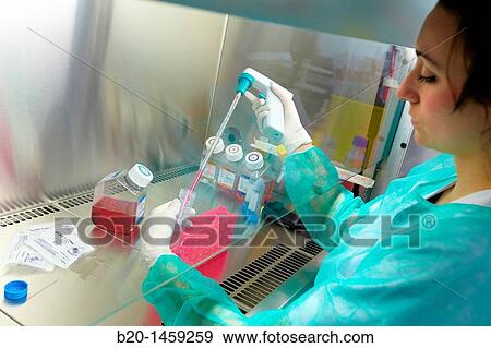 Pipette, biosafety cabinet, Cell Culture Unit, Research in Oncology and Regenerative Medicine, Biodonostia Health and Biomedicine Research Institute, San Sebastian, Donostia, Gipuzkoa, Euskadi, Spain View Large Photo Image Stock Photo - Pipette, biosafety cabinet, Cell Culture Unit, Research in Oncology and Regenerative Medicine, Biodonostia Health and Biomedicine Research Institute, San Sebastian, Donostia, Gipuzkoa, Euskadi, Spain. Fotosearch
