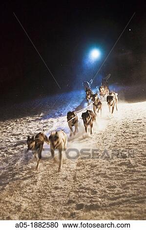 Stock Image - Pirena Advance is a 15 days long sleddog race across the Pyrenees (Spain-France-Andorra).. Fotosearch