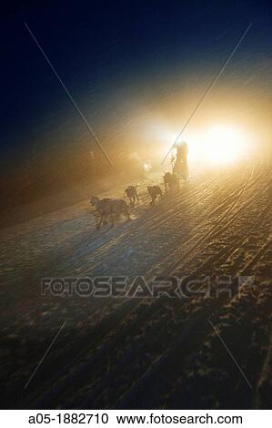 Pirena Advance is a 15 days long sleddog race across the Pyrenees (Spain-France-Andorra) View Large Photo Image Stock Image - Pirena Advance is a 15 days long sleddog race across the Pyrenees (Spain-France-Andorra). Fotosearch