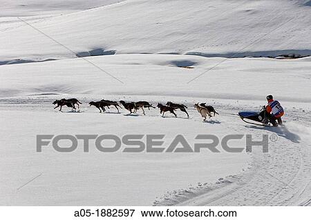 Pirena Advance is a 15 days long sleddog race across the Pyrenees (Spain-France-Andorra). View Large Photo Image Stock Photo - Pirena Advance is a 15 days long sleddog race across the Pyrenees (Spain-France-Andorra).. Fotosearch