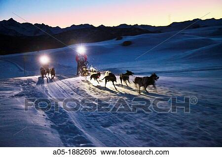 Pirena Advance is a 15 days long sleddog race across the Pyrenees (Spain-France-Andorra). View Large Photo Image Stock Photography - Pirena Advance is a 15 days long sleddog race across the Pyrenees (Spain-France-Andorra).. Fotosearch