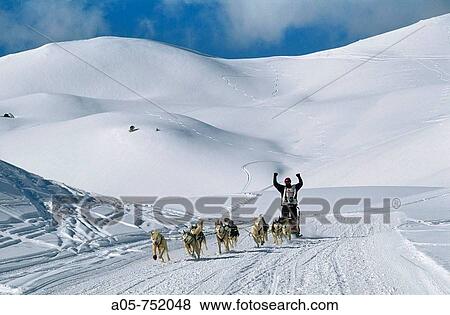 Pirena Sled dog race in the Pyrenees going through Spain, Andorra and France Baqueira Beret Lleida Province Catalonia Spain View Large Photo Image Stock Photo - Pirena Sled dog race in the Pyrenees going through Spain, Andorra and France Baqueira Beret Lleida Province Catalonia Spain. Fotosearch