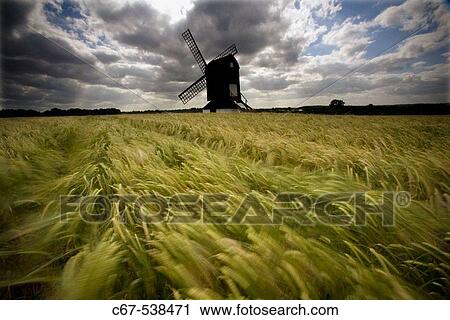 Stock Image - Pitstone Windmill on a Windy June Day. Fotosearch