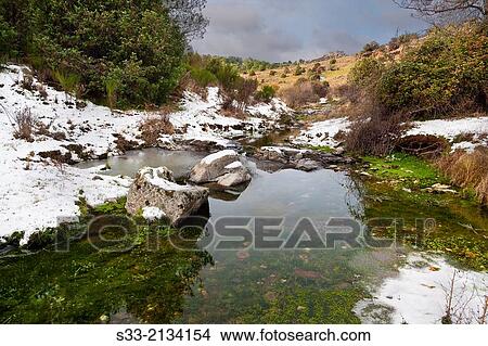 Picture - Pizarra stream. Cebreros. AUvila. Castilla Le? n. Spain.. Fotosearch