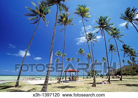 plage de la Pointe Faula, Le Vauclin Ile de la Martinique Departement et Region d? Outremer francais Archipel des Antilles Caraibes View Large Photo Image Stock Image - plage de la Pointe Faula, Le Vauclin Ile de la Martinique Departement et Region d? Outremer francais Archipel des Antilles Caraibes. Fotosearch