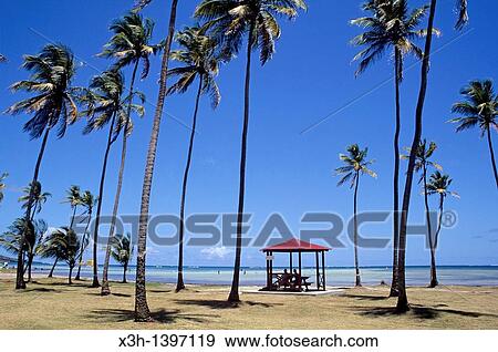 Plage De La Pointe Faula Le Vauclin Ile De La Martinique