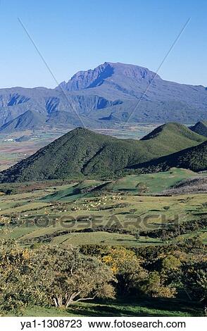 Plaine des Cafres and back Piton des Neiges peak, La Reunion island (France), Indian Ocean View Large Photo Image Stock Image - Plaine des Cafres and back Piton des Neiges peak, La Reunion island (France), Indian Ocean. Fotosearch