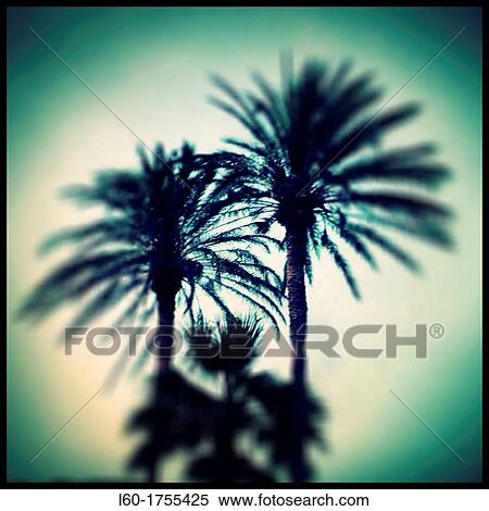 Plams, Cabo de Gata y Nijar, Almer? a, Andalucia, Spain View Large Photo Image Stock Photography - Plams, Cabo de Gata y Nijar, Almer? a, Andalucia, Spain. Fotosearch