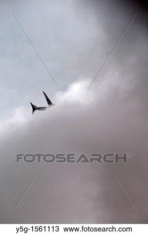 plane in sky View Large Photo Image Stock Image - plane in sky. Fotosearch