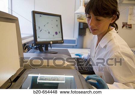 Plankton analysis with digital techniques. PVA Software, Plankton laboratory. AZTI-Tecnalia. Technological Centre specialised in Marine and Food Research. Pasaia, Gipuzkoa, Euskadi. Spain. View Large Photo Image Stock Photo - Plankton analysis with digital techniques. PVA Software, Plankton laboratory. AZTI-Tecnalia. Technological Centre specialised in Marine and Food Research. Pasaia, Gipuzkoa, Euskadi. Spain.. Fotosearch