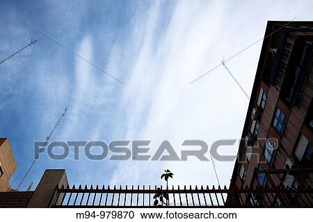 Plant surrounded by TV antennas View Large Photo Image Stock Image - Plant surrounded by TV antennas. Fotosearch