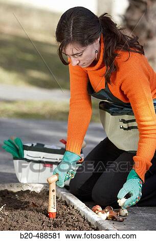 Planting flowers, bulbs. Gipuzkoa, Euskadi, Spain View Large Photo Image Stock Image - Planting flowers, bulbs. Gipuzkoa, Euskadi, Spain. Fotosearch