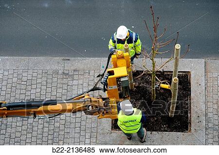 Planting trees, construction of the T8 tramway line from Saint-Denis to Epinay and Villetaneuse. Its entry into service is planned for 2014. Saint-Denis, northern suburbs of Paris, Seine-Saint-Denis, Ile-de-France, France. View Large Photo Image Stock Photography - Planting trees, construction of the T8 tramway line from Saint-Denis to Epinay and Villetaneuse. Its entry into service is planned for 2014. Saint-Denis, northern suburbs of Paris, Seine-Saint-Denis, Ile-de-France, France.. Fotosearch