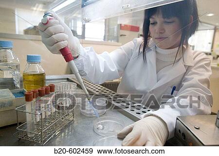Stock Photo - Plate culture in laminar flow cabinet. Biological test laboratory. Fundacion Inasmet-Tecnalia. Donostia, San Sebastian, Euskadi. Spain.. Fotosearch
