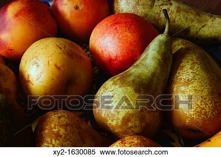 Plate of fruit Apples, nectarines, pears View Large Photo Image Stock Photography - Plate of fruit Apples, nectarines, pears. Fotosearch