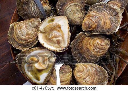Plate with oysters, Cancale. Brittany, France View Large Photo Image Stock Photography - Plate with oysters, Cancale. Brittany, France. Fotosearch
