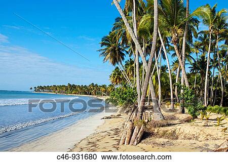 Stock Image - Playa Bonita. Las Terrenas. Samana Peninsula. Dominican Republic. West Indies. Caribbean.. Fotosearch