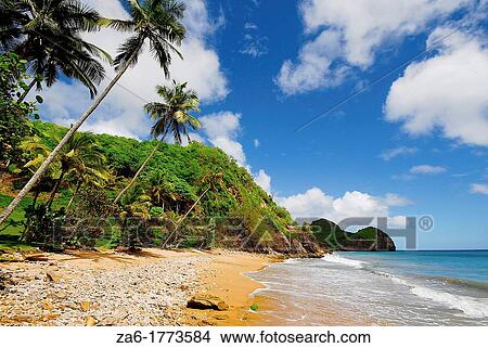 Picture - Playa de Uva, tropical beach in Paria Peninsula in the eastern coast of Venezuela. Fotosearch