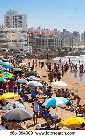Playa El Emir beach, Punta del Este, Uruguay View Large Photo Image Stock Photo - Playa El Emir beach, Punta del Este, Uruguay. Fotosearch
