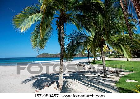 Playa Flamingo, Costa Rica View Large Photo Image Stock Photo - Playa Flamingo, Costa Rica. Fotosearch