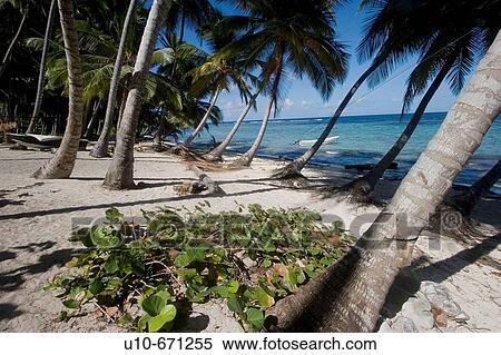 Stock Photography - Playa Front? n, SamanB Peninsula, Dominican Republic. Fotosearch