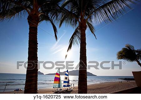 Playa Mazatlan, Mazatlan, Sinaloa, Mexico View Large Photo Image Stock Photography - Playa Mazatlan, Mazatlan, Sinaloa, Mexico. Fotosearch