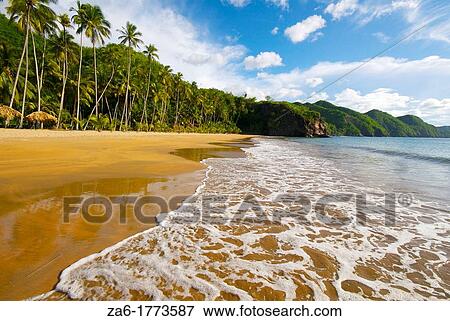 Stock Photo - Playa Medina, tropical beach in Paria Peninsula in the eastern coast of Venezuela. Fotosearch