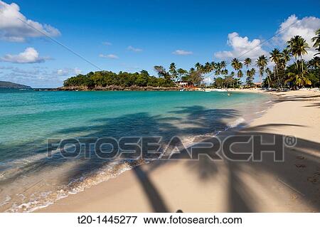 Playa Rincon Beach near Las Galeras, Samana Peninsula, Dominican Republic View Large Photo Image Stock Photo - Playa Rincon Beach near Las Galeras, Samana Peninsula, Dominican Republic. Fotosearch