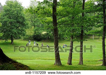 Stock Photo - Players Golf at Golf Larrabea,? lava, Spain. Fotosearch