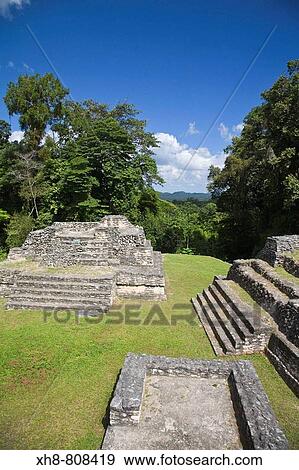 Stock Photo - Plaza A ruins, Caracol Maya archaeological site, Belize. Fotosearch