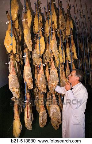 PlBcido CBrdeno tasting Iberian hams in his plant, Fuente de Le? n. Badajoz province, Extremadura, Spain View Large Photo Image Stock Image - PlBcido CBrdeno tasting Iberian hams in his plant, Fuente de Le? n. Badajoz province, Extremadura, Spain. Fotosearch
