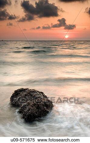 Stock Photography - Plenty of posidonia in La Llana beach at sunrise. Murcia province. Spain.. Fotosearch