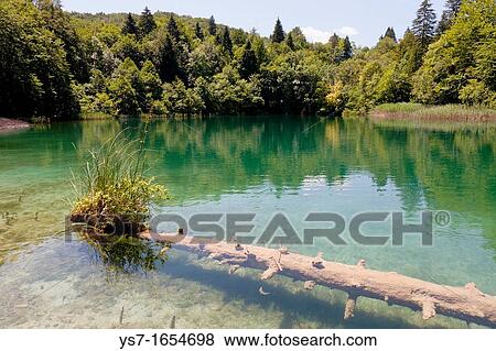 Plitvice lakes National Park, Croatia, Europe View Large Photo Image Stock Photo - Plitvice lakes National Park, Croatia, Europe. Fotosearch
