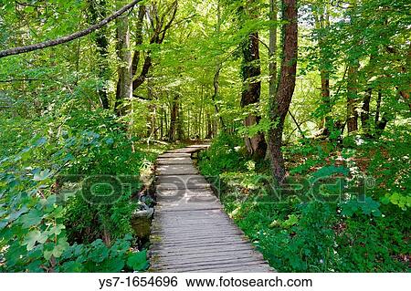 Plitvice lakes National Park, Croatia, Europe View Large Photo Image Stock Photograph - Plitvice lakes National Park, Croatia, Europe. Fotosearch
