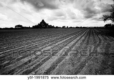 Stock Photography - Plowed field at Bagan.. Fotosearch