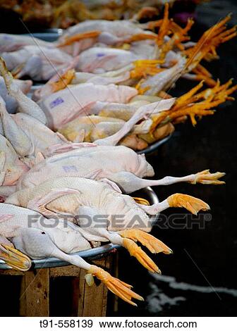 Stock Photo - Plucked chicken at vietnamese market. Hanoi. Vietnam.. Fotosearch