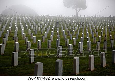 Point Loma, Cabrillo Memorial. San Diego. California, USA. View Large Photo Image Stock Image - Point Loma, Cabrillo Memorial. San Diego. California, USA.. Fotosearch
