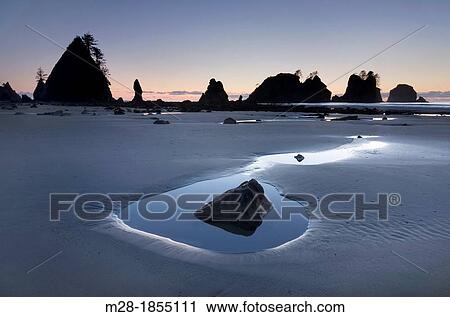 Point of the Arches and Shi Shi Beach at low tide, Olympic National Park Washington View Large Photo Image Stock Image - Point of the Arches and Shi Shi Beach at low tide, Olympic National Park Washington. Fotosearch