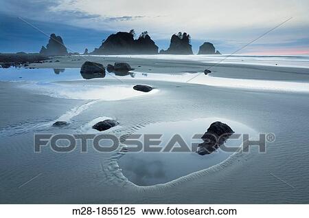 Stock Photography - Point of the Arches and Shi Shi Beach at low tide, Olympic National Park Washington. Fotosearch