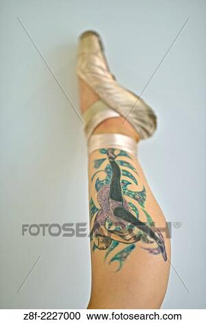 Pointe Shoes and Tatoo. View Large Photo Image Stock Image - Pointe Shoes and Tatoo.. Fotosearch