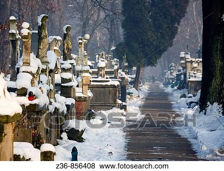Poland Krakow Catholic Rakowicki Cemetery View Large Photo Image Stock Photo - Poland Krakow Catholic Rakowicki Cemetery. Fotosearch