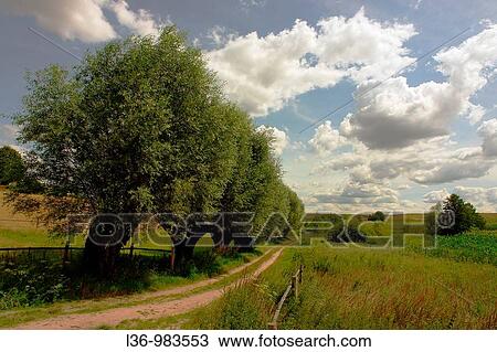 Stock Image - Poland Mazowsze region. Fotosearch