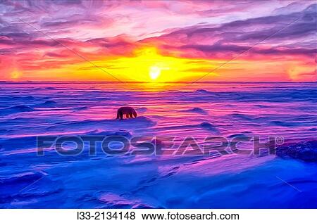 Polar bear, Artcic sunset. View Large Photo Image Stock Photo - Polar bear, Artcic sunset.. Fotosearch