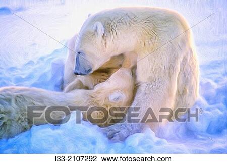 Polar bear nursing cubs, oil painting effect, digital art View Large Photo Image Stock Image - Polar bear nursing cubs, oil painting effect, digital art. Fotosearch